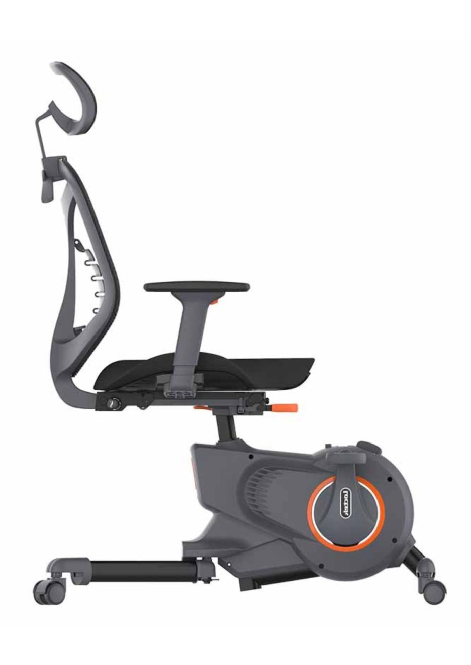 ERGOFITNESS