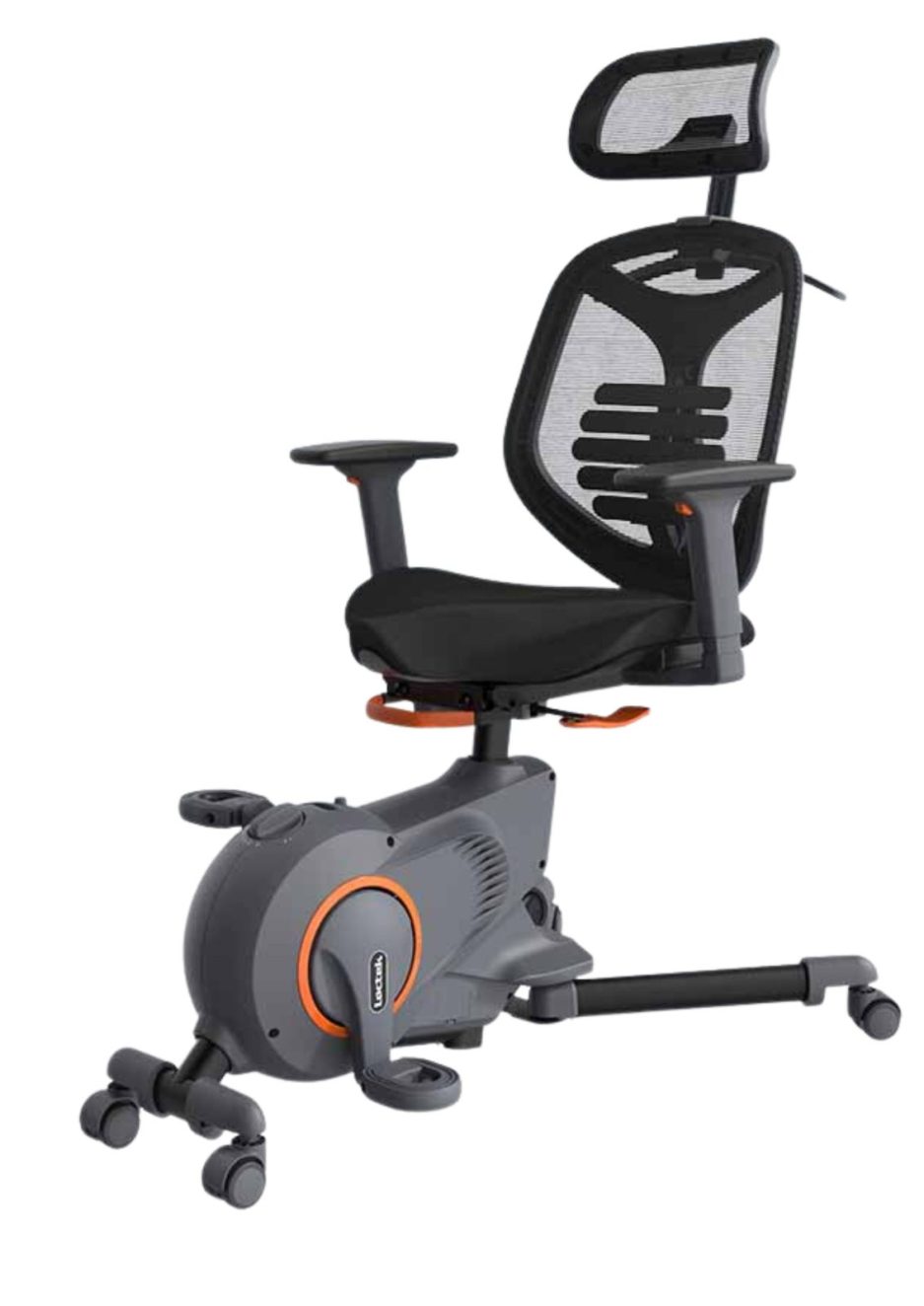ERGOFITNESS