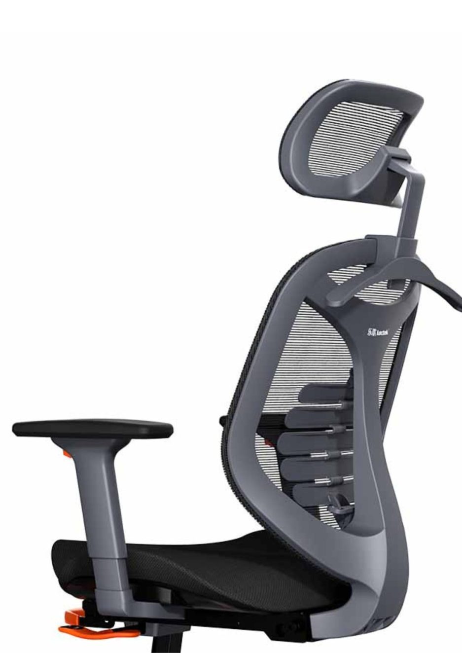 ERGOFITNESS